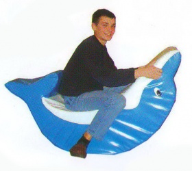 «Качалка-Дельфин» М фото